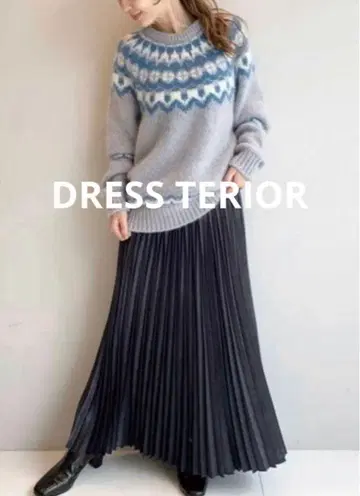 [DRESSTERIOR] 스웨이드라이크 아코디언 플리츠 스커트 38