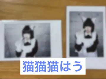 집사와 메이드 하우키 폴라로이드