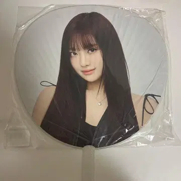 aespa SYNK PARALLEL LINE 도쿄돔 닌닌 부채