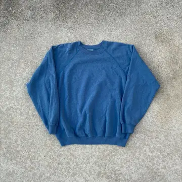 vintage 80s 90s Hanes Blue sweat XL
