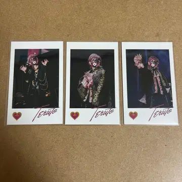 기사X KnightX 랜덤 포토 카드