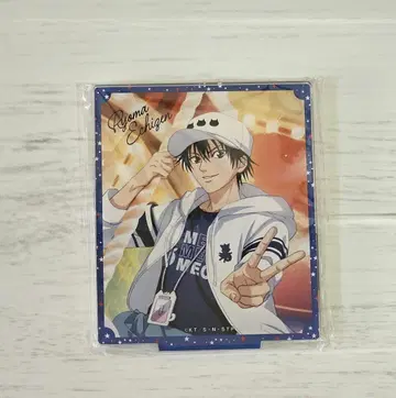 신 테니스의 왕자님 테니라비 복권 메이트 아크릴 스탠드 에치젠 료마