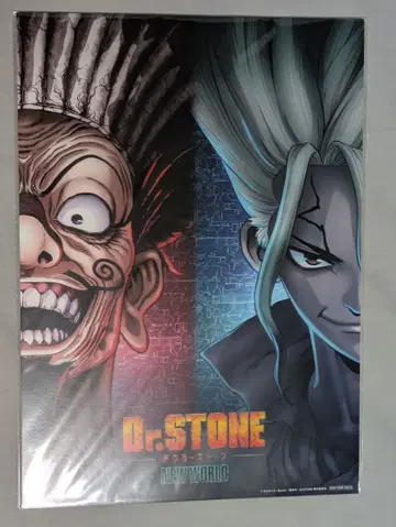 Dr. STONE NEW WORLD 키 비주얼 카드