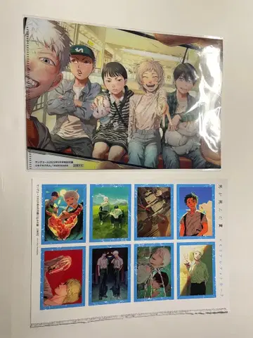 빛이 죽은 여름 영 에이스 부록 파일 카드