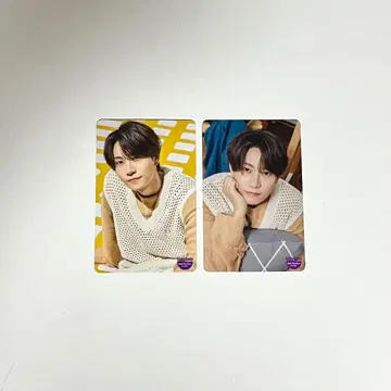 timelesz 하시모토 쇼세이/하라 요시타카 양면 트레이딩 카드 2장