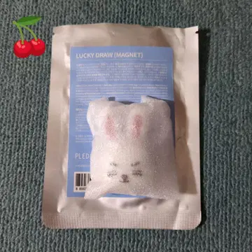 SEVENTEEN MINITEEN 에스크 마그넷