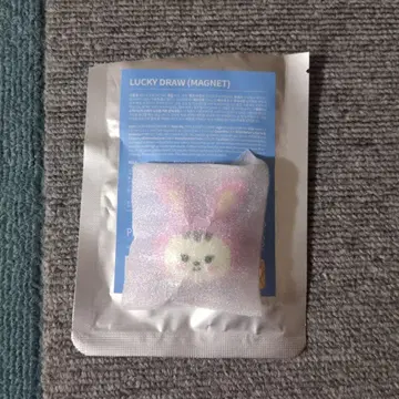 SEVENTEEN MINITEEN 라무 마그넷 정한