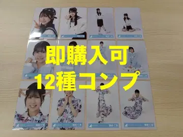 츠루사키 히나카 히나타자카46 랜덤 브로마이드 12종 컴프 최신