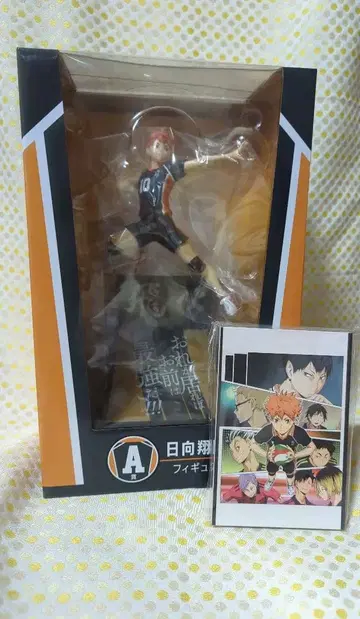 하이큐 Happy 복권 히나타 쇼요 피규어 엽서북