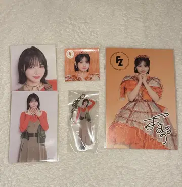 후르츠 지퍼 진세이 스즈카 아크링 키링