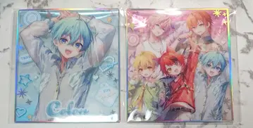 스토푸리 2025 summer 색지