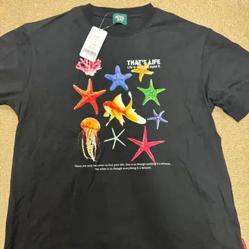 That's life 셔츠 미사용 새상품