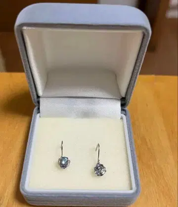 BLOOM 10k 후크 귀걸이