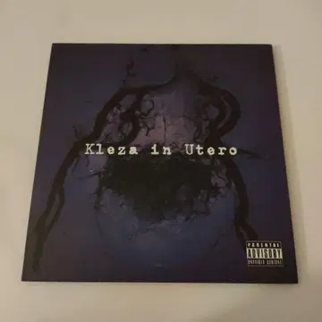 새상품급 UnsraW/Kleza in Utero