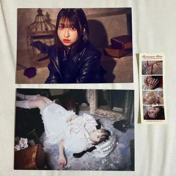 CUTIESTREET 벚꽃바카 마에다 후루사와 생일 축하 입장 혜택