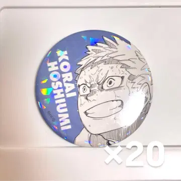 하이큐 호시우미 코라이 올스타 캔뱃지 20개
