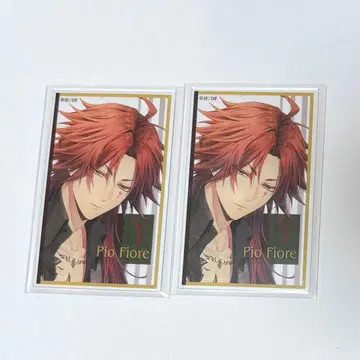 오토마 오토메이트 마켓 오토나츠 피오휘 아쿠카 양