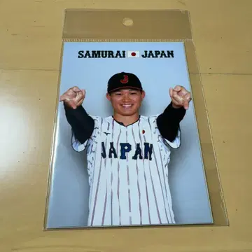 사무라이 재팬 브로마이드 모리시타 쇼타 한신 타이거즈