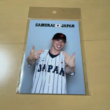 사무라이 재팬 브로마이드 이소하타 료타 홋카이도 일본햄 파이터즈