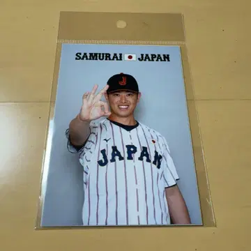 사무라이 재팬 브로마이드 마츠야마 신야 주니치 드래곤즈