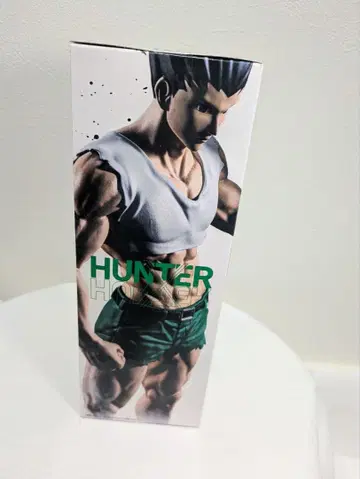 HUNTER x HUNTER 피규어