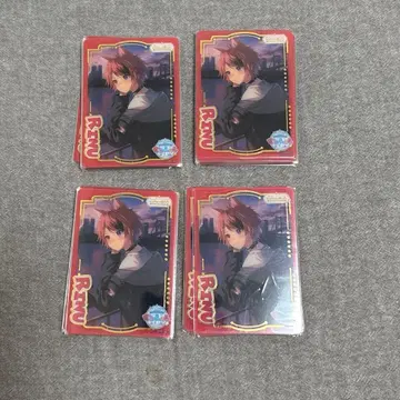 리이누 패밀리 컬렉션 메모리