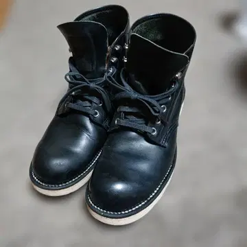 레드윙 8165 아이리쉬 세터 블랙 (플레인토) 7D