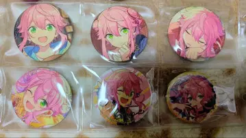 히메미야 토리 캔뱃지 9개 세트