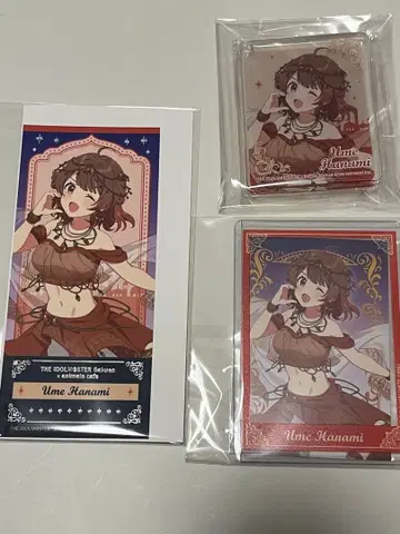 하나미 유메 애니메이트 카페 학마스 학원 아이돌 마스터 아 니카페 코롯타