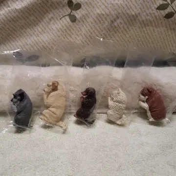 합장 장인 견배 그 셋