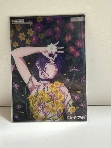 체인소맨 클리어 카드 컬렉션껌 레제 특전 카드 한정판 레제