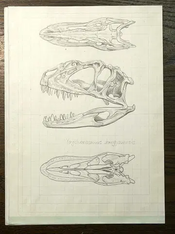 제작용 원화 연필화 얀추아노사우루스