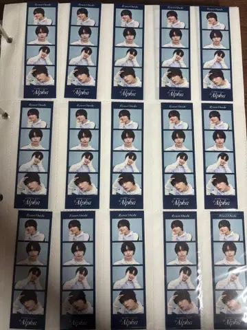 나니와단시+Alpha 포토 카드 오니시 류세이 15장 세트