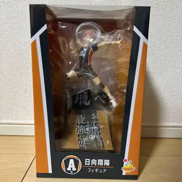 해피 복권 하이큐 A상 히나타 쇼요