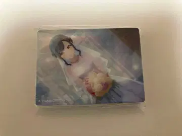 프로세카 노블 아트 시라이시 안 vol.41 준브라 웨딩