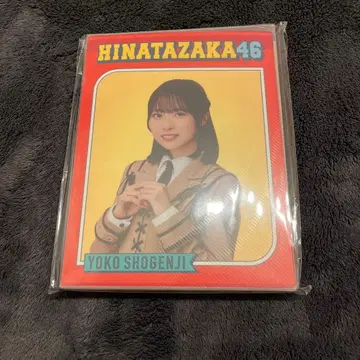 히나타자카46 쇼겐지 요코 개별 사진 앨범