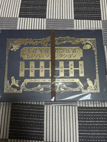 호쿠리쿠 본선 특급 가도 핀 배지 대지