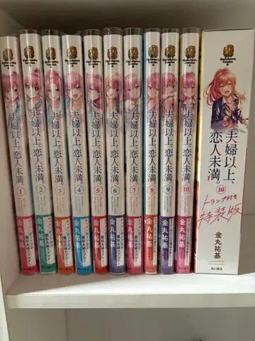 부부 이상, 연인 미만 1~10권 + 특장판