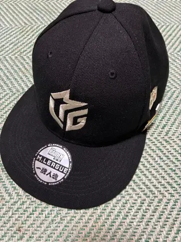 M리그 캡 마작 팀 라이덴