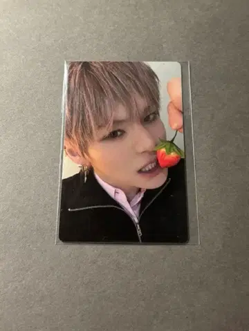 treasure pleasure 딸기 트레이딩 카드 요시