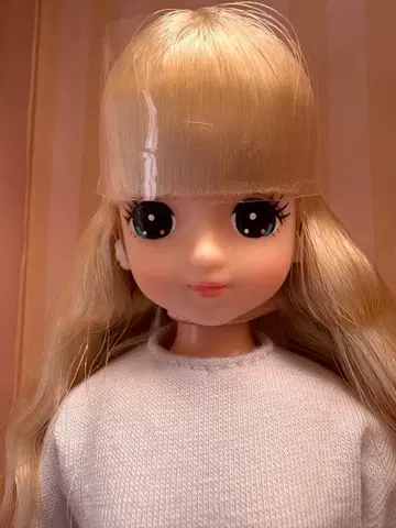 리카짱 캐슬 2021년 일본바시 BASIC 모델 스위츠짱