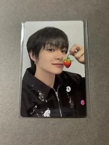 treasure pleasure 딸기 트레이딩 카드 지훈