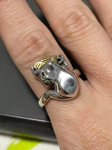 카수 공방 개구리에게 금화 반지