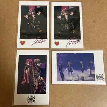 기사X KnightX 랜덤 포토 카드