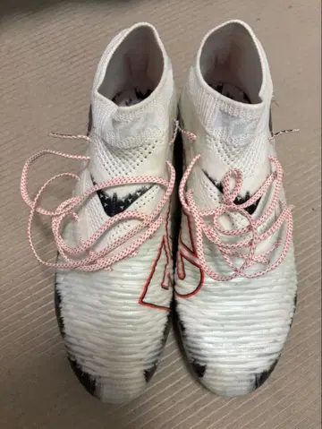 퓨처 8 얼티밋 HG/AG JPLE