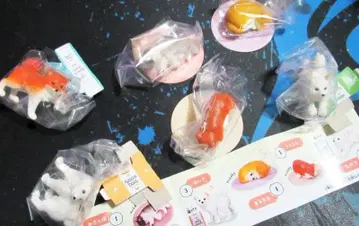 귀여운 시바견들의 피규어 순수하고 귀여운 아기 시바견 전 6종