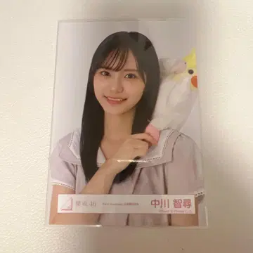 나카가와 치히로 First Showcase 오히로메 요리