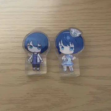 프로세카 키리타니 하루카