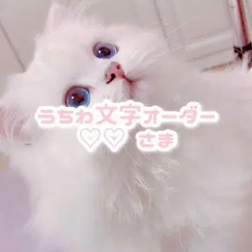 부채 문자 오더 고객님