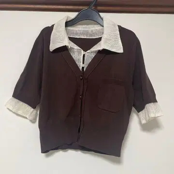 브라운 반팔 셔츠 레이스 카라 부착 레이어드 디자인 니트 코코딜